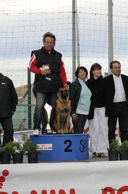 Remise des Prix 184.JPG - CHIENPLUS.COM